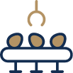 Group 596